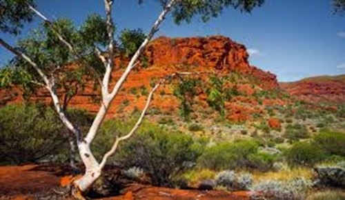 AUSTRALIA PANORAMA Australia