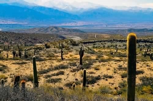 I GRANDI SPAZI DEL NORD Argentina
