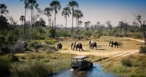 OKAVANGO & WILDLIFE ADVENTURE