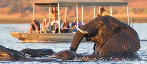 NAVIGAZIONE SUL FIUME CHOBE Botswana
