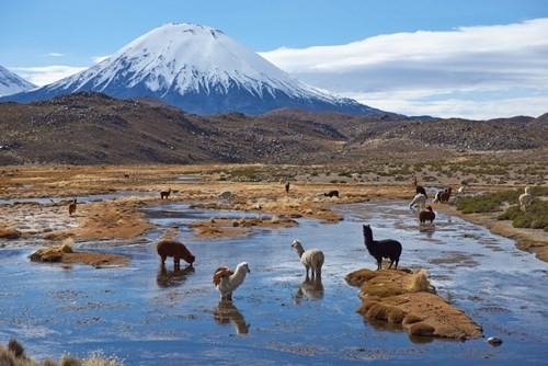 NORD LAGHI & PATAGONIA Cile