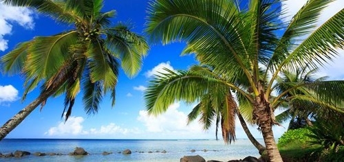 ALOHA HAWAII Hawaii