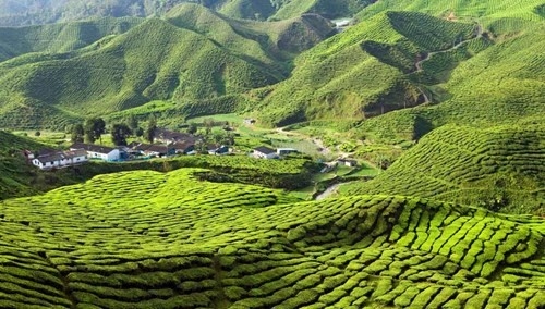 IL MEGLIO DELLA PENISOLA Malesia