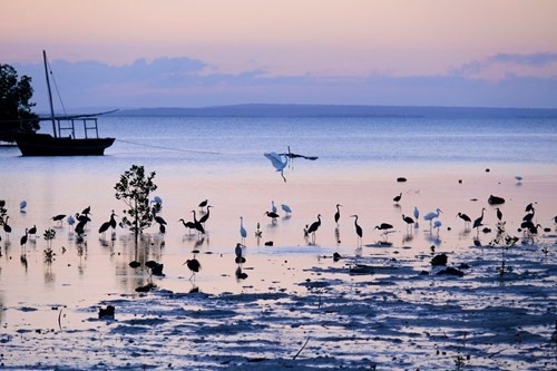 KRUGER WILDLIFE & MOZAMBIQUE BEACH Mozambico