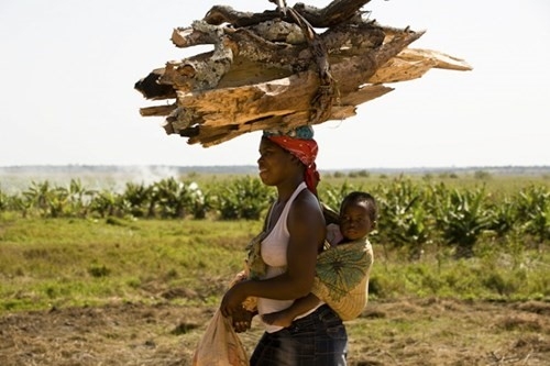 LONG TRIP, KRUGER & MOZAMBICO