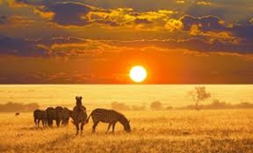 NAMIBIAN HIGHLIGHTS Namibia