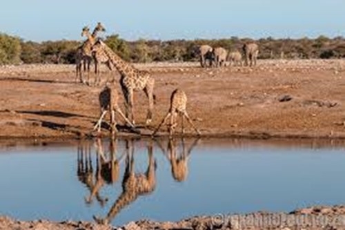 BEST OF NAMIBIA, SENSE OF AFRICA Namibia