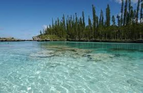NOUMÉA - LIFOU - ISOLA DEI PINI - NOUMÉA Nuova Caledonia