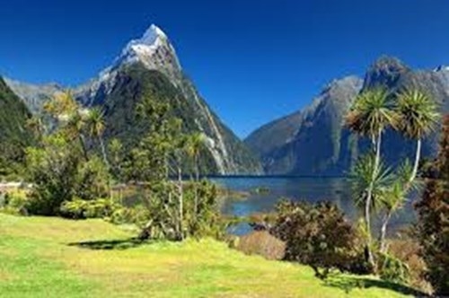 GEYSERLAND TOUR Nuova Zelanda