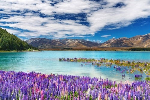 AOTEAROA SELF DRIVE Nuova Zelanda