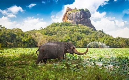 TOUR SRI LANKA, PARTENZA IL MARTEDÍ Sri Lanka