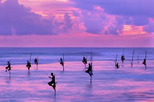 TOUR SRI LANKA, PARTENZA LA DOMENICA Sri Lanka