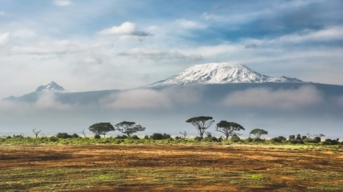 IL MEGLIO DELLA TANZANIA: SELOUS, RUAHA, SERENGETI, MANYARA E NGORONGORO Tanzania