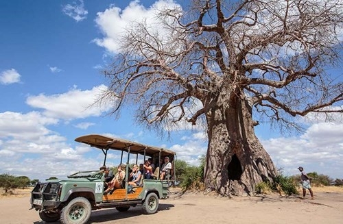 BASIC TANZANIA Tanzania