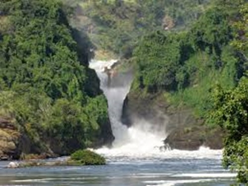 MURCHISON FALLS - KIBALE - BWINDI - LAKE MBURO Uganda