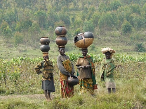 BWINDI FOREST - QUEEN ELIZABETH NATIONAL PARK Uganda