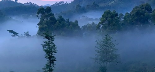 MILLE COLLINE TRA UGANDA E RWANDA SAFARI