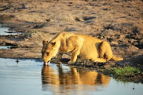 ZIMBABWE, TRIP Zimbabwe