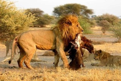 NAMIB TO FALLS ADVENTURE NORTH Zimbabwe