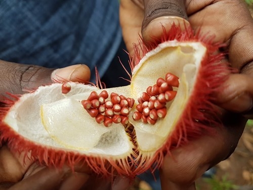 TASTING ZANZIBAR Zanzibar