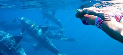 ACTIVE ZANZIBAR Zanzibar