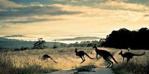 AUSTRALIA PANORAMA DELUXE Viaggi di nozze