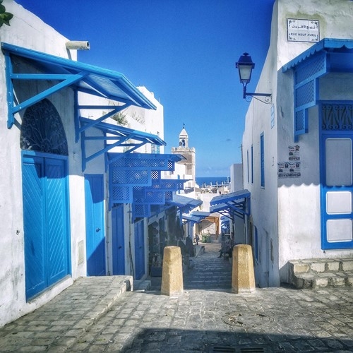 TUNISIA DAL NORD A DJERBA E SAHARA